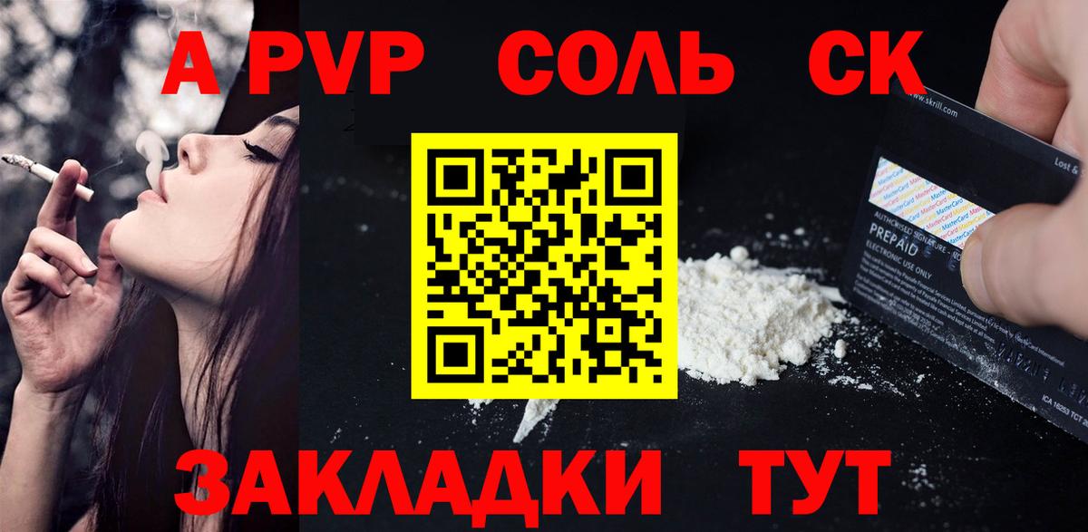 Альфа ПВП СК Грозный