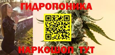 хмурый Малоярославец