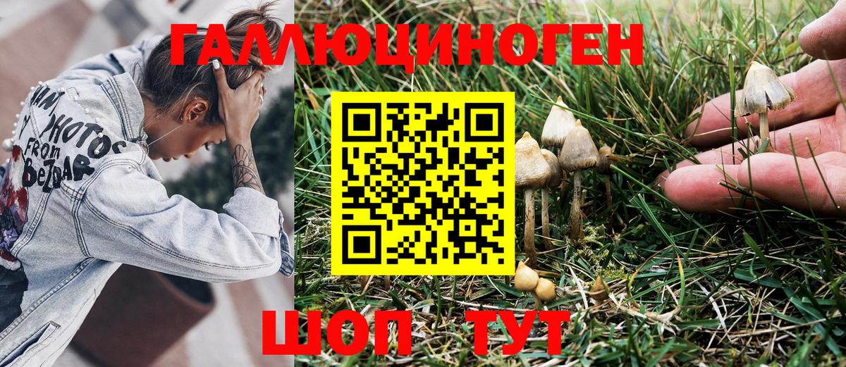 цены   Псилоцибиновые грибы Magic Shrooms  Вход с VPN  Галлюциногенные грибы GOLDEN TEACHER  Грозный 